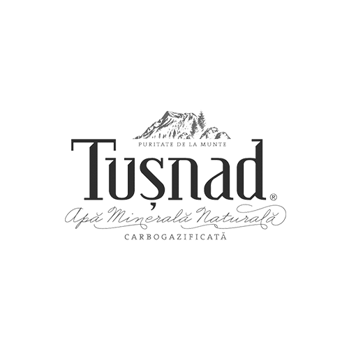 Tușnad logo