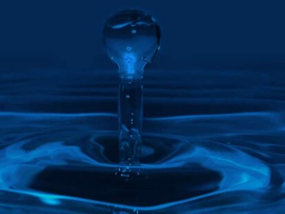 water-brand-research