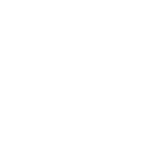logo_vivantis