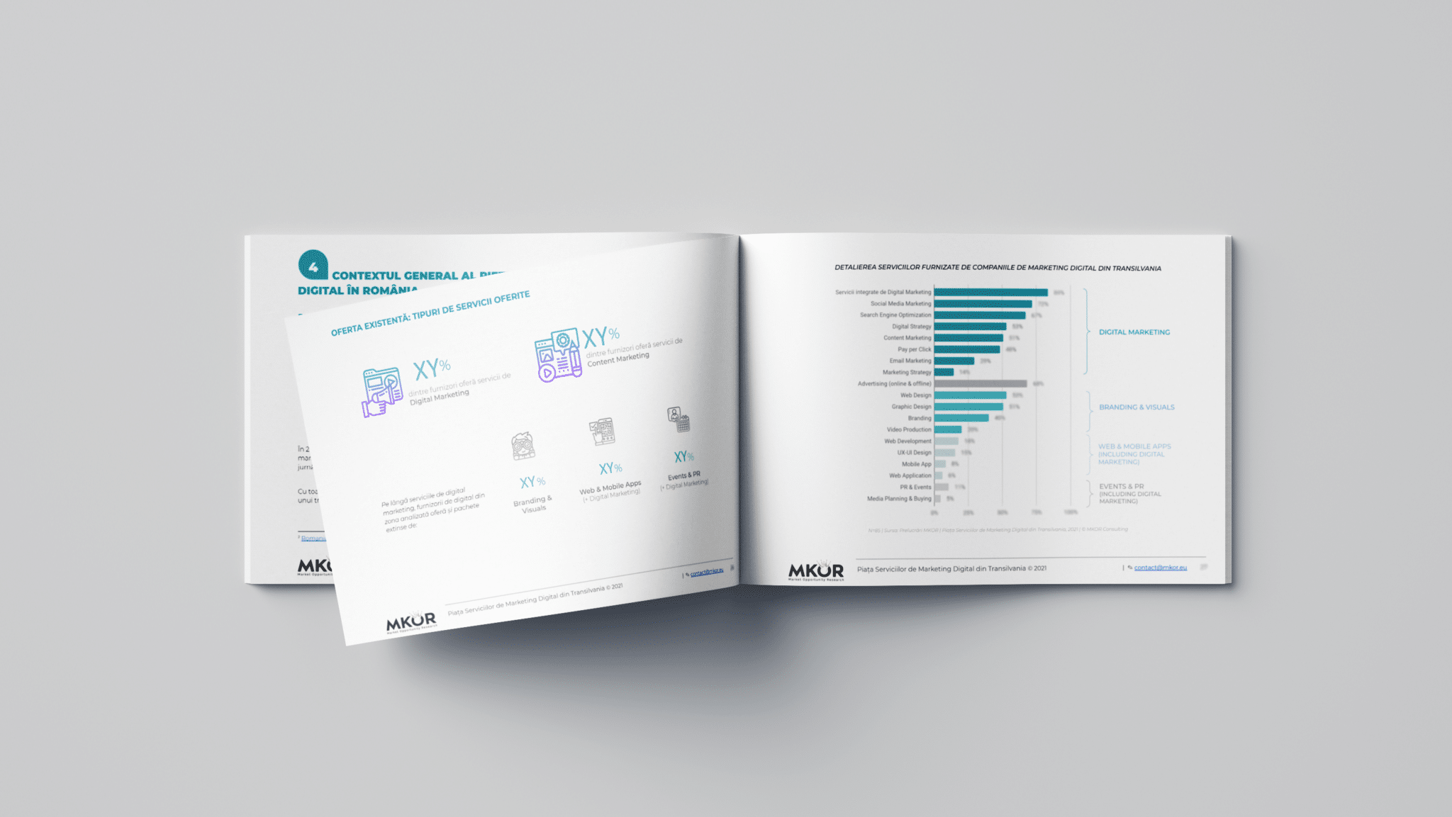 opportunity study Transilvania digital marketing market