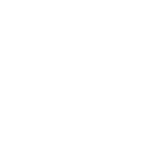 Brico Depo