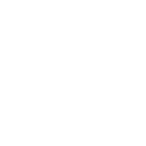logo-fossil
