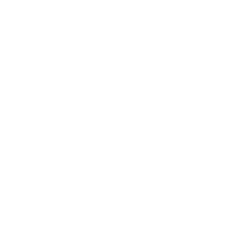 Lem's