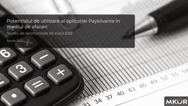 b2b-oportunity-study-online-payment-market-paysilvania