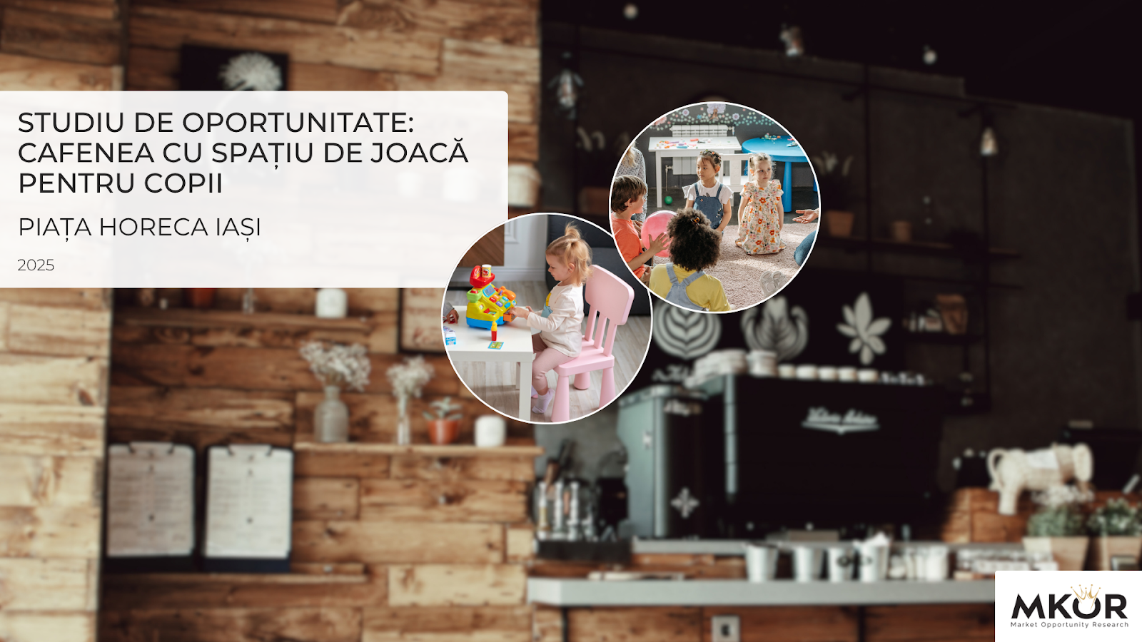 horeca opportunity study cover iași